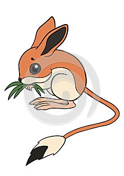 Cartoon wild animals. Little cute baby jerboa stands and eats grass