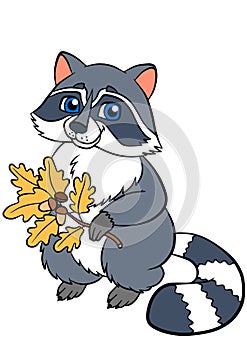 Cartoon wild animals. Little cute raccoon.