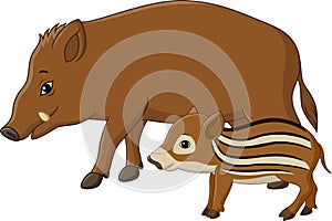 Cartoon wild boar and piglet