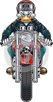 Illustrated duck on motorcycle photo