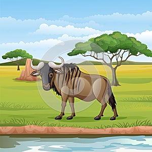Cartoon wildebeest in the Savannah