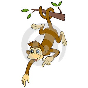 Cartoon wils animals for kids. Little cute monkey hangs.