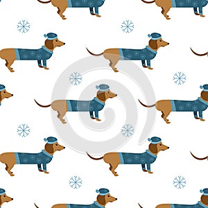 Cartoon winter dachshund with hat and sweater vector seamless pa