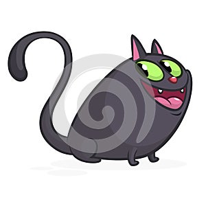 Cartoon witch black cat illustration. Halloween design