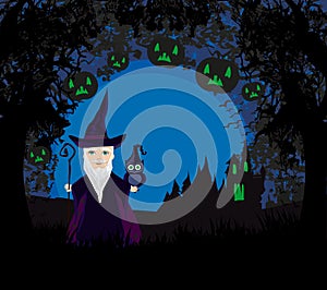 Cartoon Wizard with owl on halloween night