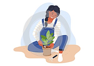 Cartoon woman growing plants. Transplanting ficus in a pot. Vector isolated flat illustration.