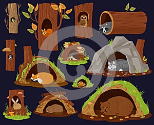 Cartoon woodland animals sleeping inside burrow, hollow, nest. Forest animals resting or hibernate, cute racoon, fox and