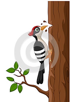 Cartoon woodpecker on a tree
