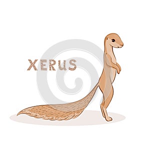 Cartoon xerus, cute character for children. Animal alphabet.