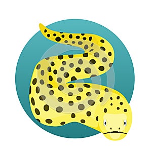 Cartoon yelloow spotted moray eel illustration. Honeycomb Moray Eel