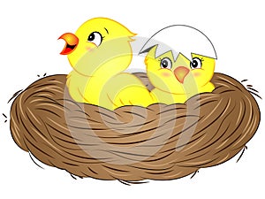 Cartoon Yellow Baby Birds in Nest