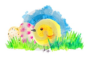 Cartoon yellow baby chicken with painted easter eggs, grass and blue stain on background
