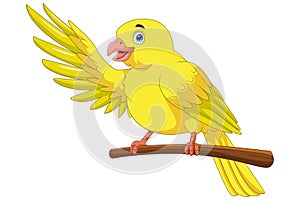 Cartoon yellow canary bird on a tree branch