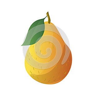 Cartoon yellow pear. Vector illustration