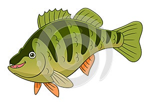 Cartoon yellow perch