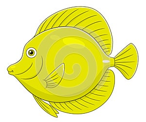 Cartoon yellow tang