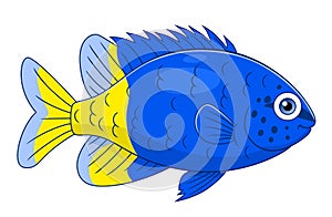 Cartoon yellowtail damselfish