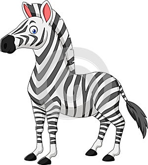 Cartoon zebra isolated on white background