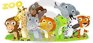 Cartoon zoo scene with zoo animals friends together in amusement park on white background with space for text illustration for