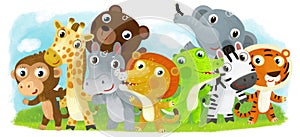 Cartoon zoo scene with zoo animals friends together in amusement park on white background with space for text illustration for