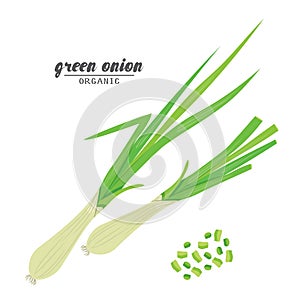 Cartoongreen onion. Ripe vehetables. Vegetarian delicious. Eco organic food. Flat vector design, isolated on white background.