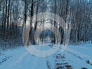 Cartoonish road in Talsa park during winter evening