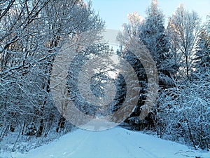 Cartoonish road in Talsa park during winter evening