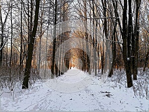 Cartoonish road in Talsa park during winter evening