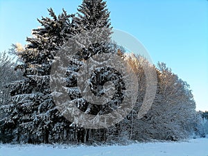 Cartoonish Talsa park during winter evening