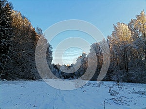 Cartoonish Talsa park during winter evening