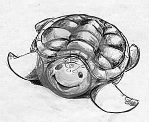 Cartoonish tortoise sketch