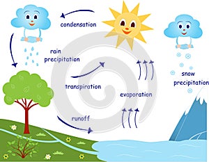 Cartoons water cycle vector illustration