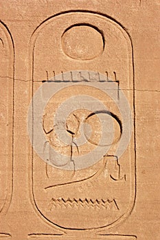 Cartouche with Scarab photo