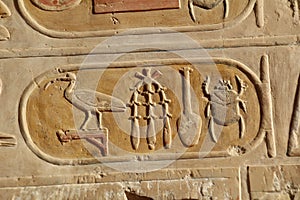 Cartouche on a temple wall.