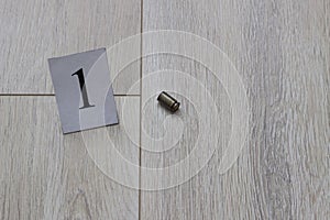 The cartridge case lies on the floor, the murder, the main evidence, a close-up