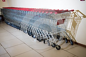 Carts lined up together. Lots of shopping carts