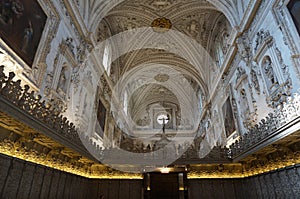 Cartuja Monastery in Granada Spain