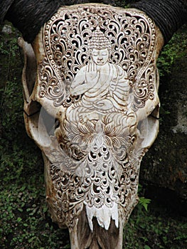 Carved buffalo skull decoration