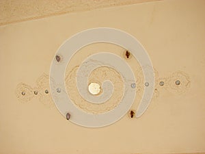 Carved Design in Ceiling, Amer Fort, Jaipur, Rajasthan, India