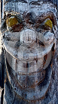 Carved face on a tree trunk disturbing smile