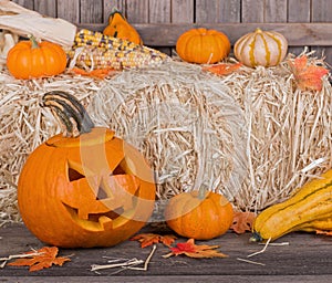 Carved Halloween Pumpkin