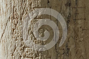 Carved Inscription on a column