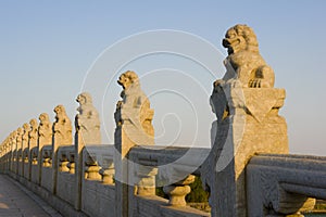 The carved lions and balusters