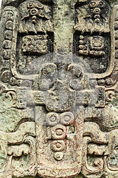 Carved Mayan stella, Copan ruins, Honduras