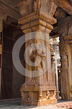 Carved pillars of the mandapa, Subrahmanyam shrine, Brihadisvara Temple complex, Tanjore, Tamil Nadu