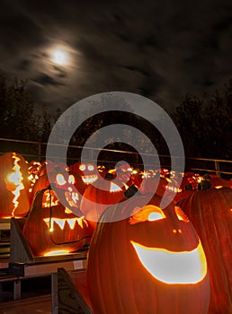 Carved pumpkins and moonlight