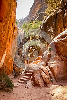 Carved rock staircase between tall cliffs, leading up to the High Place of Sacrifice at Petra