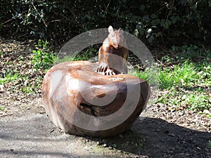 Carved Squirrel wooden bench in Sandwell Valley