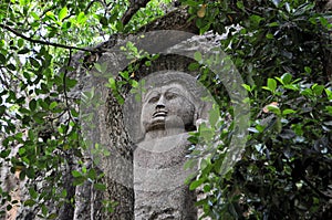 Carved Stone Buddha in Dowa Temple, Sri Lanka
