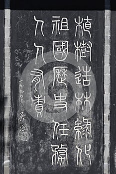 Carved stones with Chinese characters calligraphy